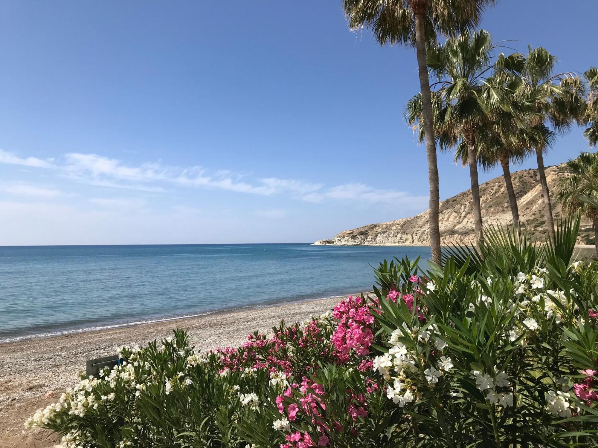 Pissouri Beach Apartments Εξωτερικό φωτογραφία